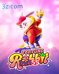 pv555